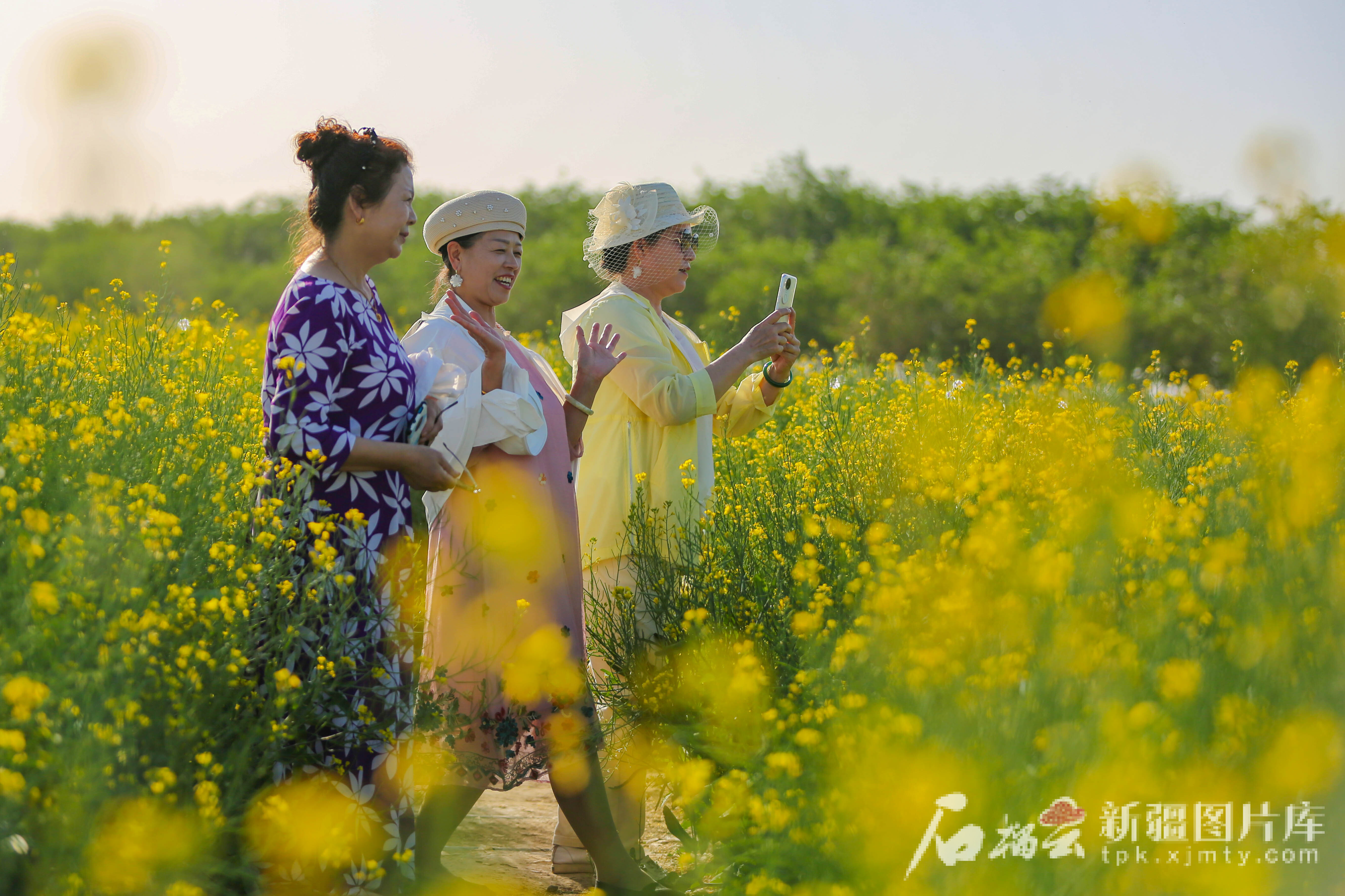 平顶山航拍全景__平顶山十大美丽乡村