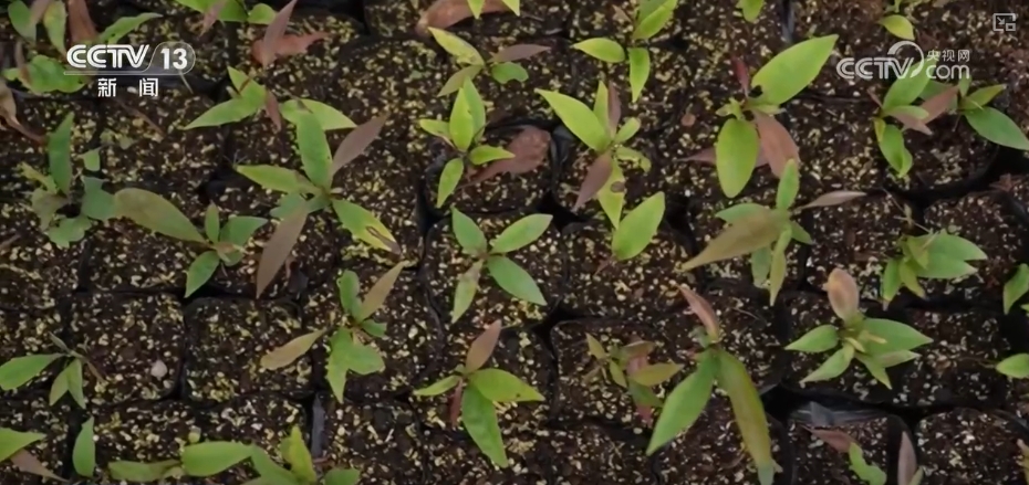 1000万亿年后_老梁说4万亿刺激经济_