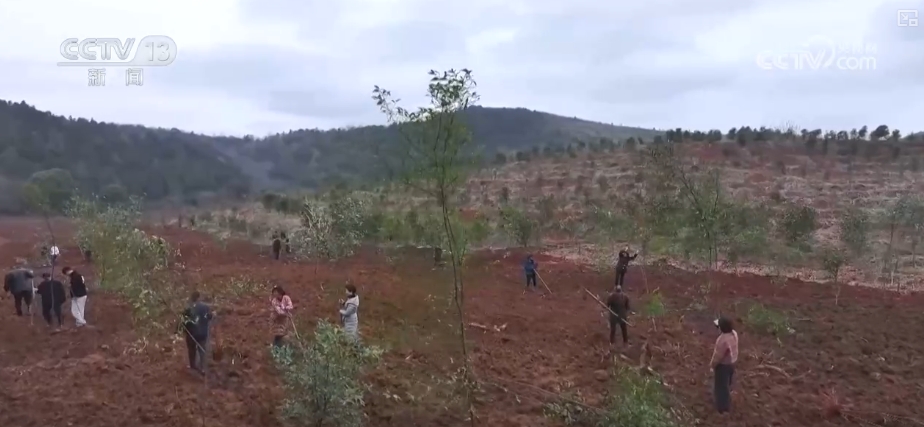 老梁说4万亿刺激经济_1000万亿年后_