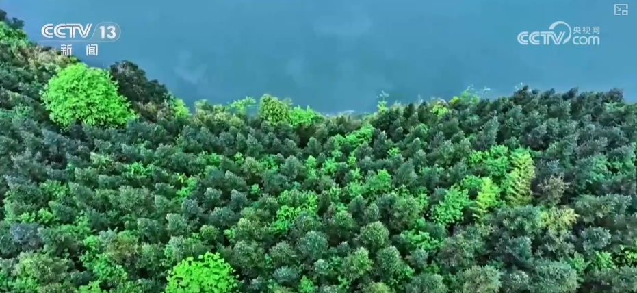 老梁说4万亿刺激经济_1000万亿年后_