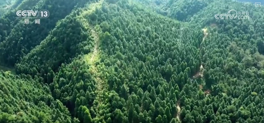 1000万亿年后_老梁说4万亿刺激经济_