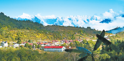 “好生态能换钱，逐渐成了共识”