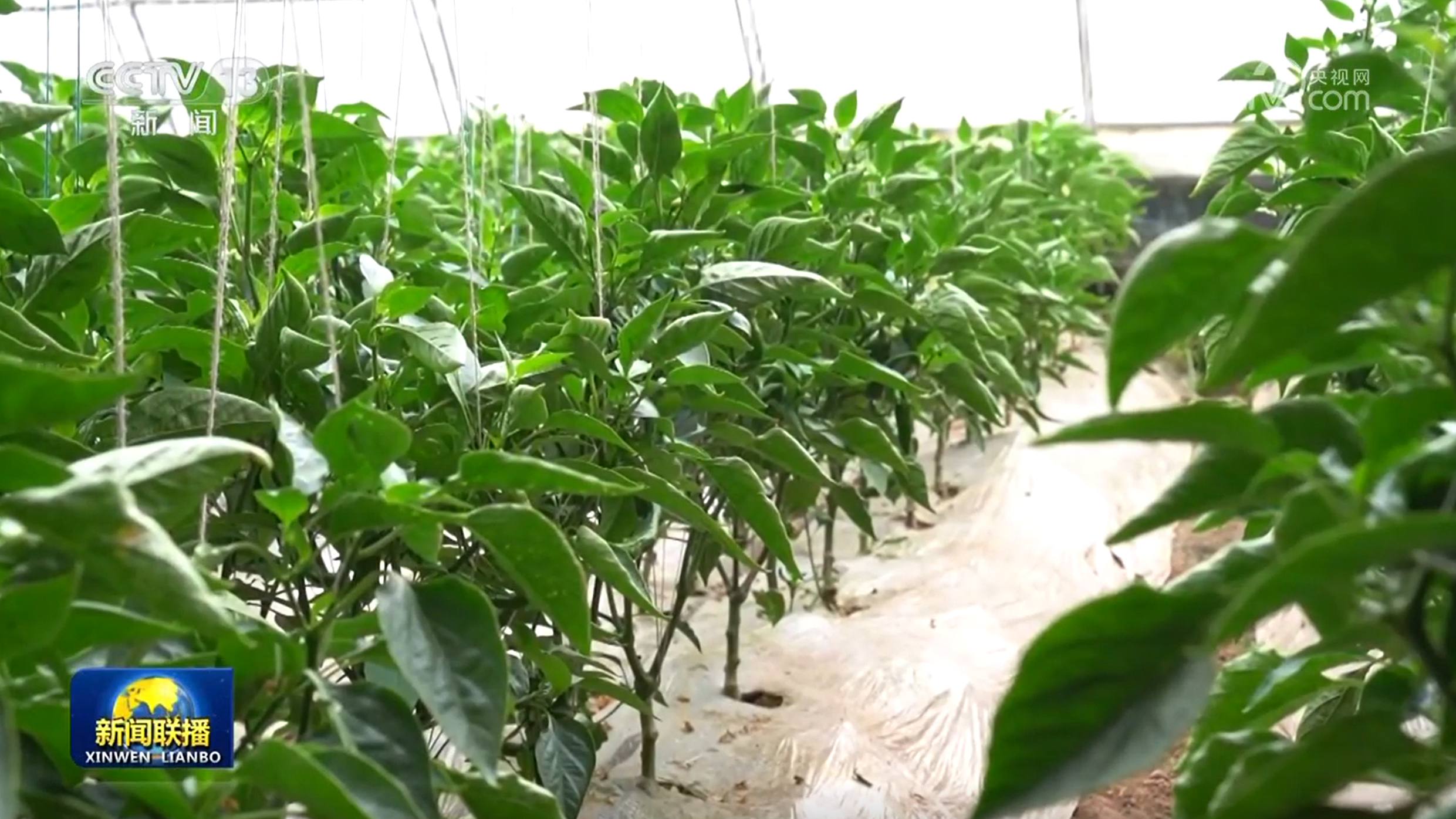 【一线调研】挖掘“冷资源” 打造“热产业”_【一线调研】挖掘“冷资源” 打造“热产业”_