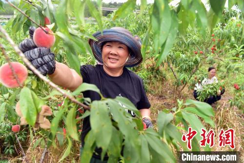 两岸融合发展新路__两岸桃花相映红下一句是什么