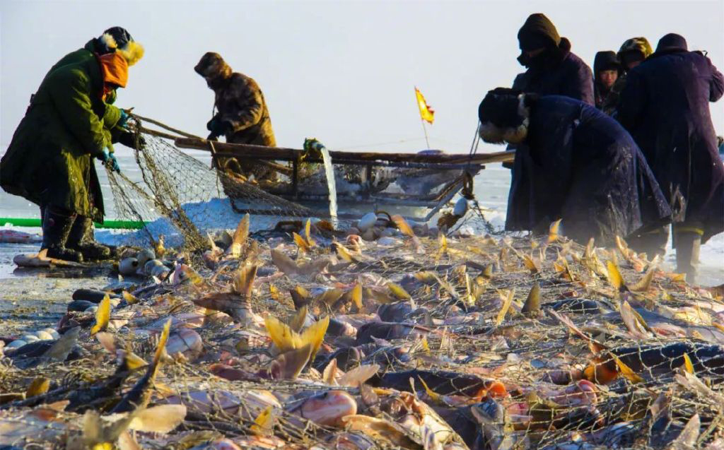 吉林省冰雪旅游的发展现状_吉林冰雪旅游文化_