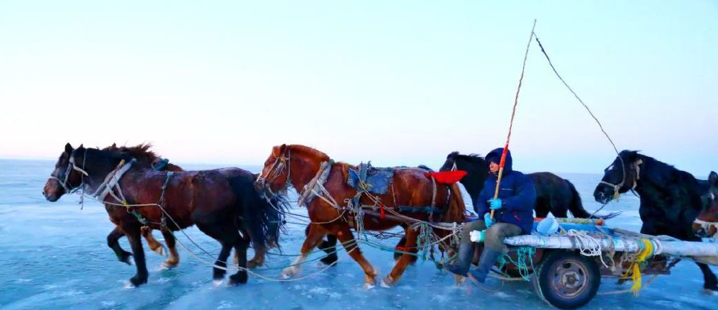 _吉林冰雪旅游文化_吉林省冰雪旅游的发展现状