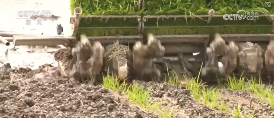 各地春管向“新”而行生机勃勃 科技助力“慧”好“春耕图”__各地春管向“新”而行生机勃勃 科技助力“慧”好“春耕图”