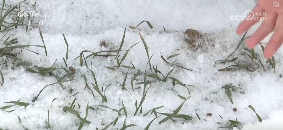 各地春管向“新”而行生机勃勃 科技助力“慧”好“春耕图”_各地春管向“新”而行生机勃勃 科技助力“慧”好“春耕图”_