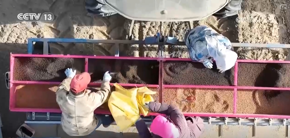 各地春管向“新”而行生机勃勃 科技助力“慧”好“春耕图”_各地春管向“新”而行生机勃勃 科技助力“慧”好“春耕图”_