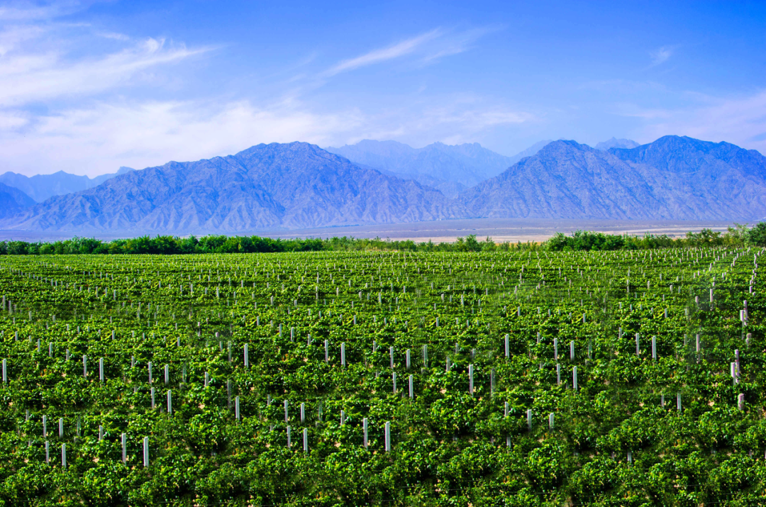 _银川大漠孤烟_宁夏之旅大漠风情