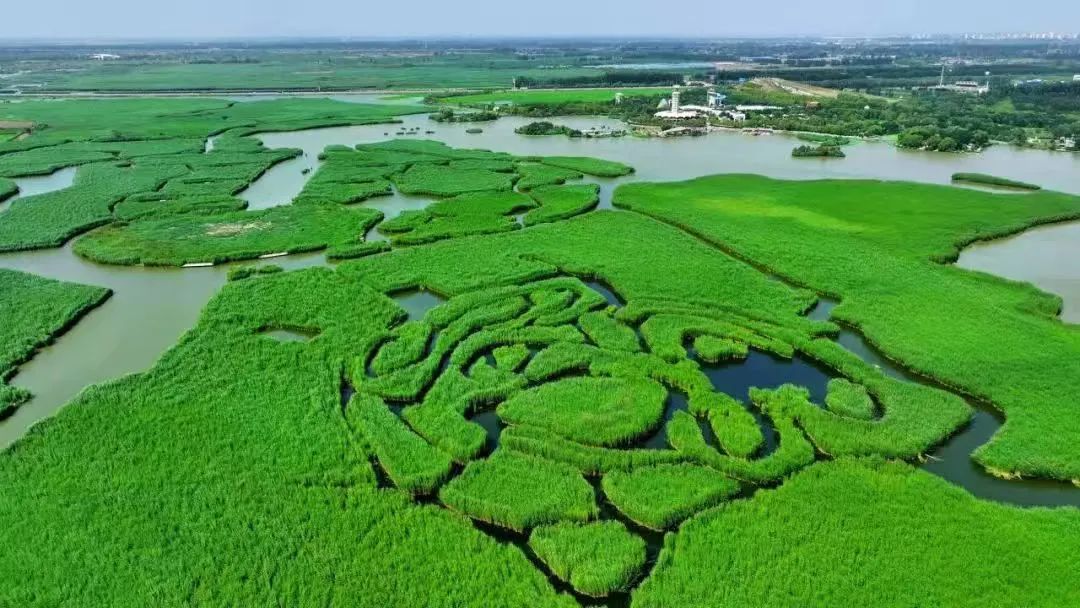 _宁夏之旅大漠风情_银川大漠孤烟