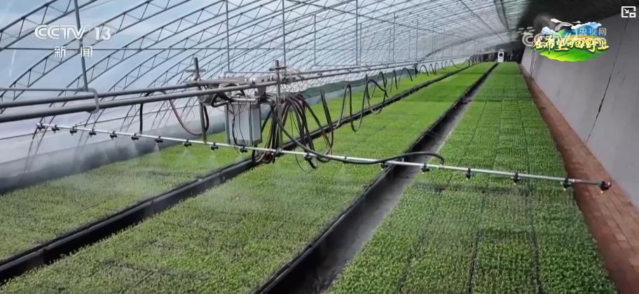 乡村振兴的科技农服之路_乡村振兴科技助力_