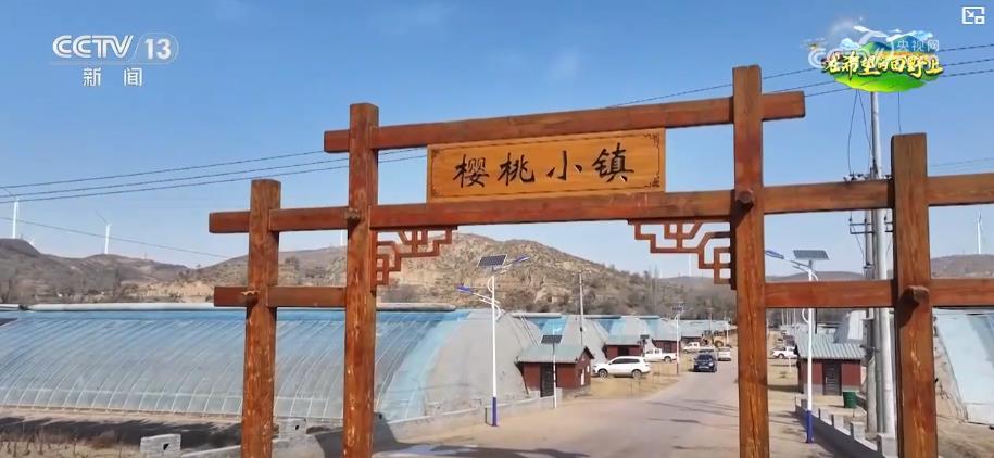 _乡村振兴科技助力_乡村振兴的科技农服之路