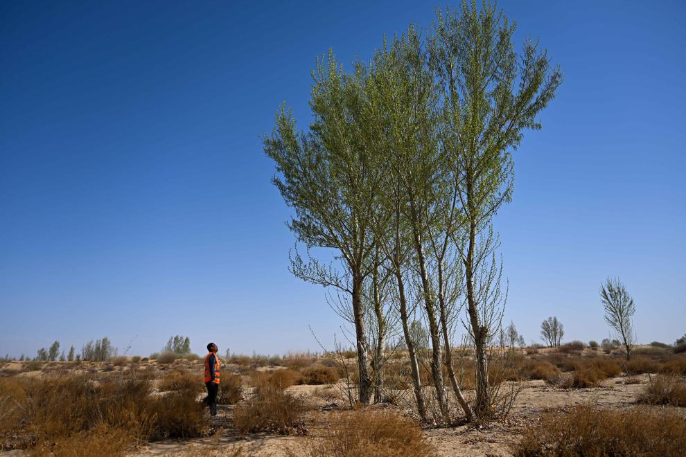 非洲北部沙漠形成原因__海淀北部前沙涧怎么样