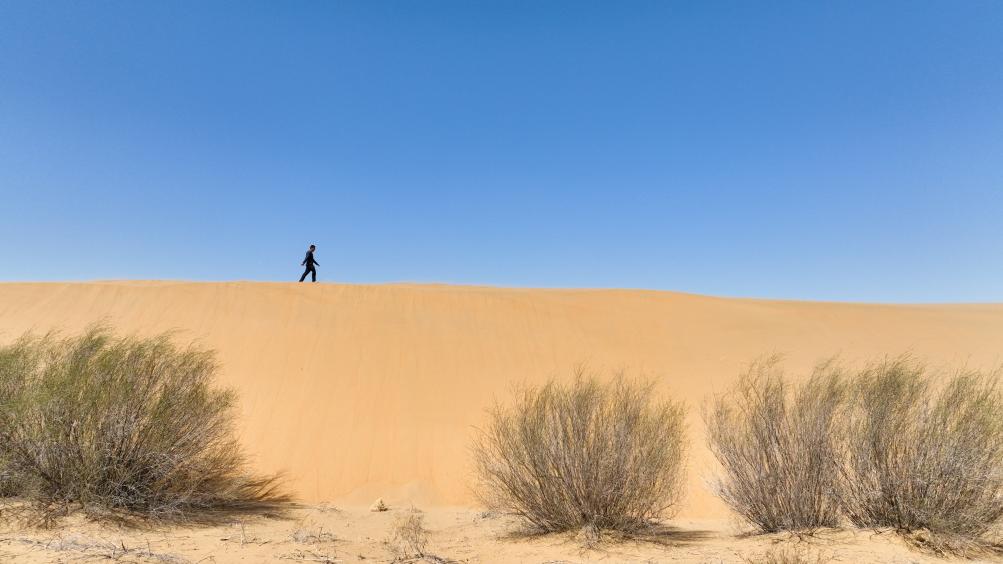 非洲北部沙漠形成原因_海淀北部前沙涧怎么样_
