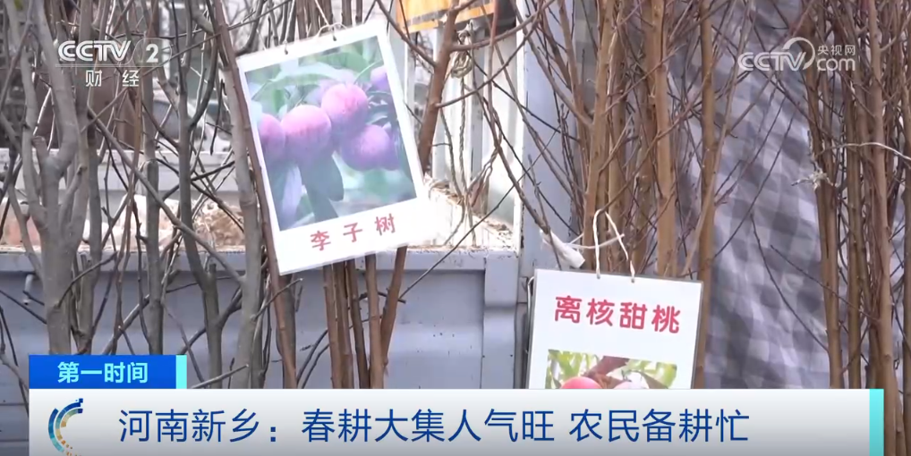 _神州大地万象“耕”新 希望田野奏响春耕春管“交响曲”_神州大地万象“耕”新 希望田野奏响春耕春管“交响曲”