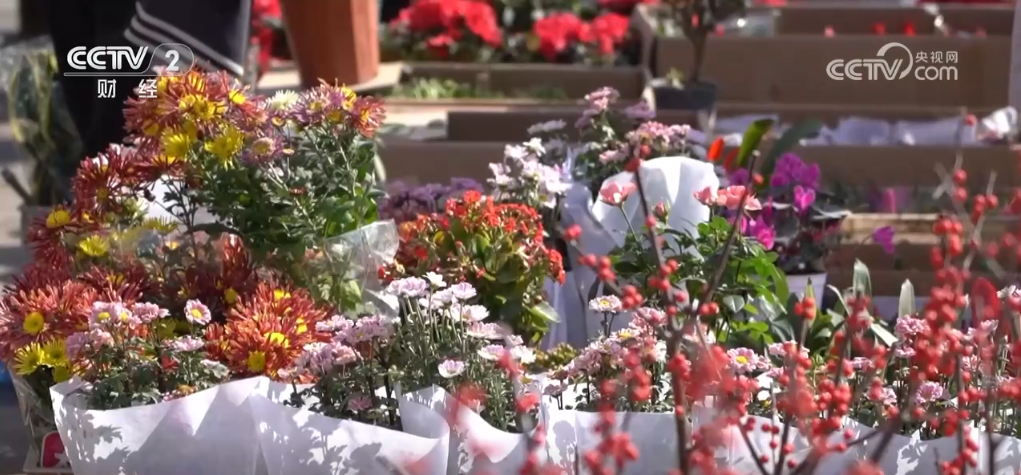 _神州大地万象“耕”新 希望田野奏响春耕春管“交响曲”_神州大地万象“耕”新 希望田野奏响春耕春管“交响曲”