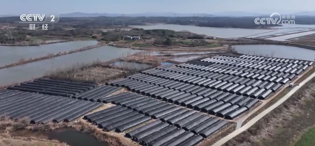 _神州大地万象“耕”新 希望田野奏响春耕春管“交响曲”_神州大地万象“耕”新 希望田野奏响春耕春管“交响曲”