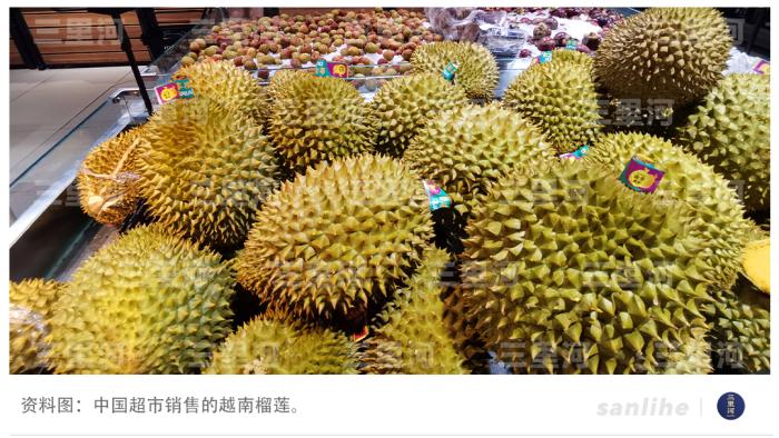 中越加强互联互通 合作书写发展新篇章