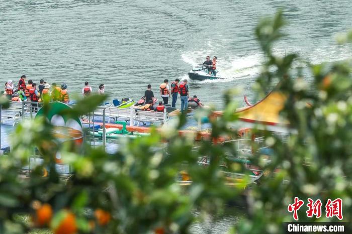 乡村振兴产业振兴问卷_闵行纯农地区乡村振兴_