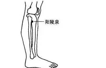 探唐烧烤是哪里公司__中里巴人穴位股骨头坏死