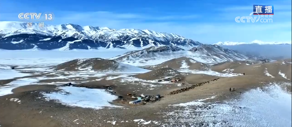 服务队温暖护航风雪转场路 现代化转型托起牧民新生活__服务队温暖护航风雪转场路 现代化转型托起牧民新生活