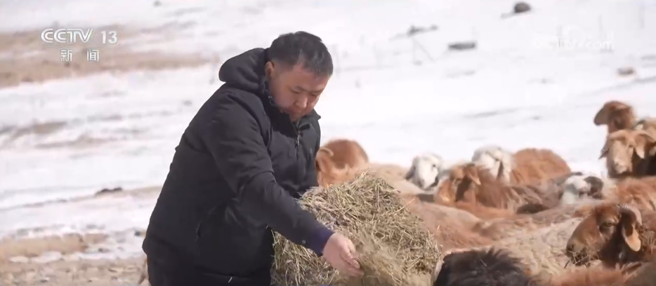 _服务队温暖护航风雪转场路 现代化转型托起牧民新生活_服务队温暖护航风雪转场路 现代化转型托起牧民新生活