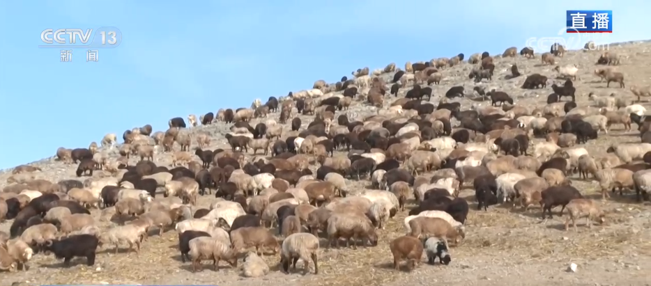 服务队温暖护航风雪转场路 现代化转型托起牧民新生活_服务队温暖护航风雪转场路 现代化转型托起牧民新生活_