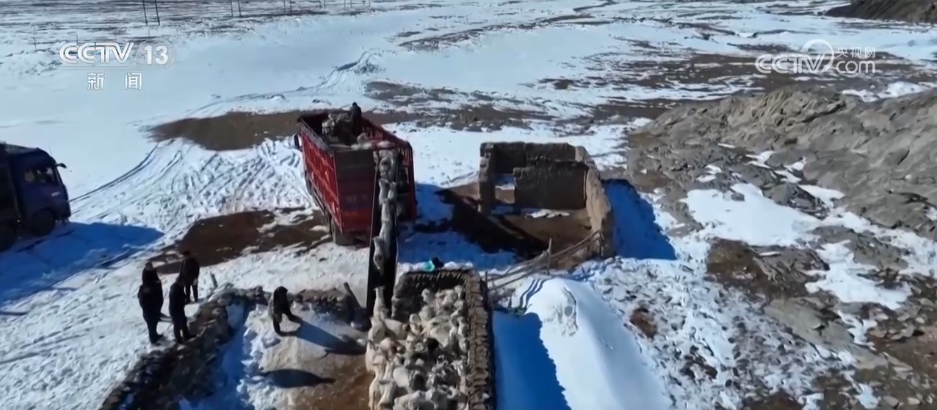 服务队温暖护航风雪转场路 现代化转型托起牧民新生活__服务队温暖护航风雪转场路 现代化转型托起牧民新生活