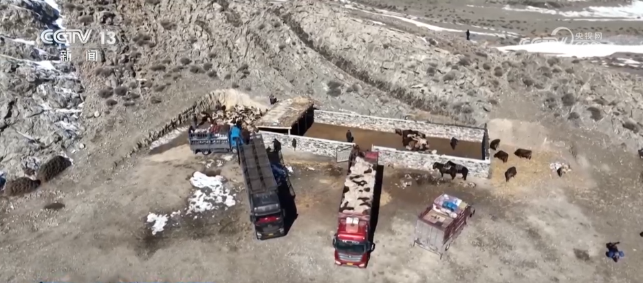 服务队温暖护航风雪转场路 现代化转型托起牧民新生活_服务队温暖护航风雪转场路 现代化转型托起牧民新生活_