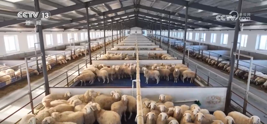 服务队温暖护航风雪转场路 现代化转型托起牧民新生活_服务队温暖护航风雪转场路 现代化转型托起牧民新生活_