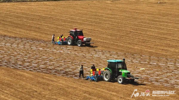 辉煌70年 奋进新征程丨良田沃野绘“丰”景
