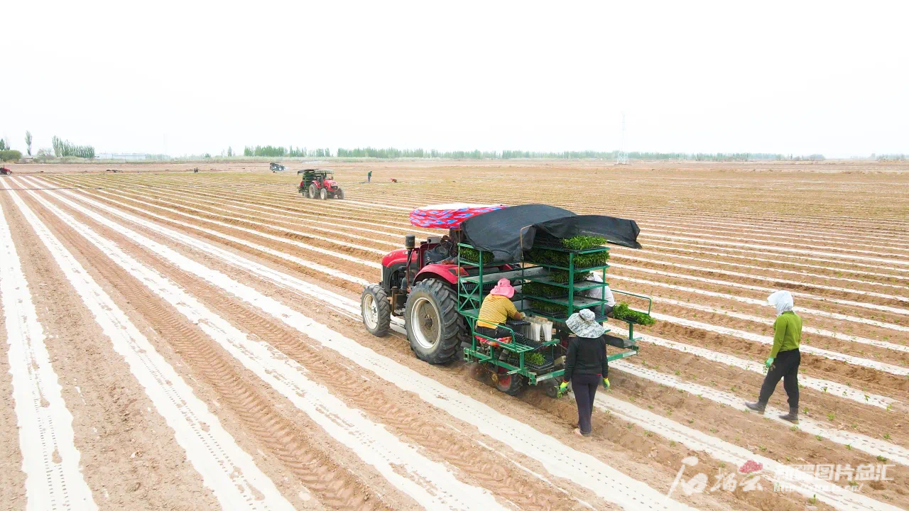 奋进辉煌_奋进新征程共绘新蓝图_