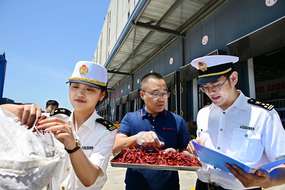 田间辣椒图片_田野里辣椒_