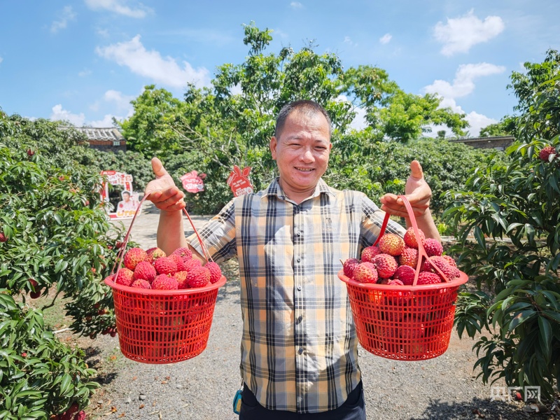 _消费新观察丨海口火山岩上的“甜蜜经济”_消费新观察丨海口火山岩上的“甜蜜经济”