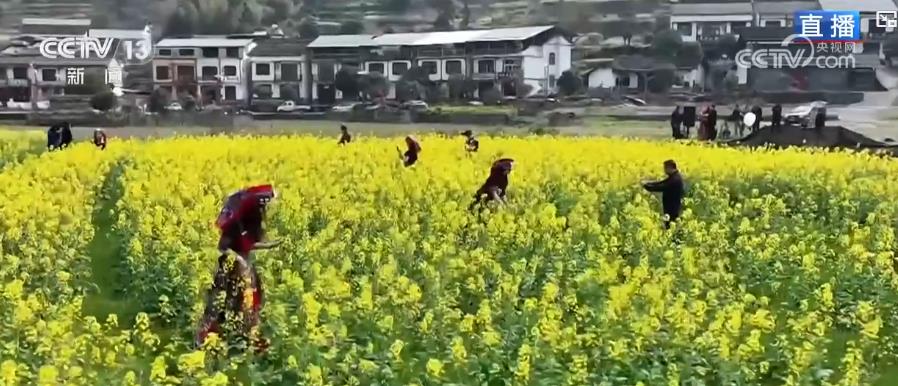 乡村振兴种花__为乡村振兴添一抹绿