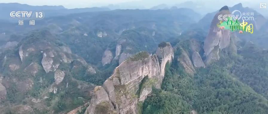 乡村振兴种花__为乡村振兴添一抹绿