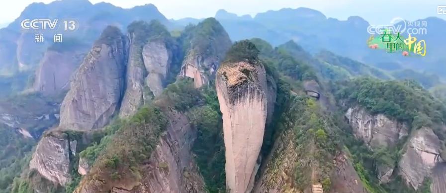 为乡村振兴添一抹绿_乡村振兴种花_