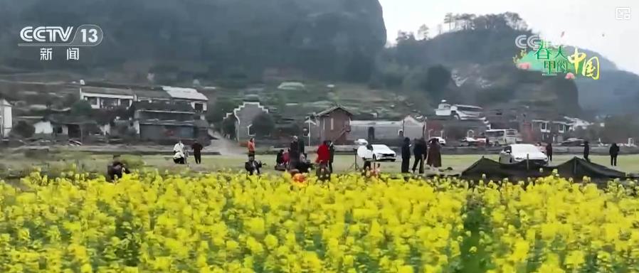 乡村振兴种花__为乡村振兴添一抹绿