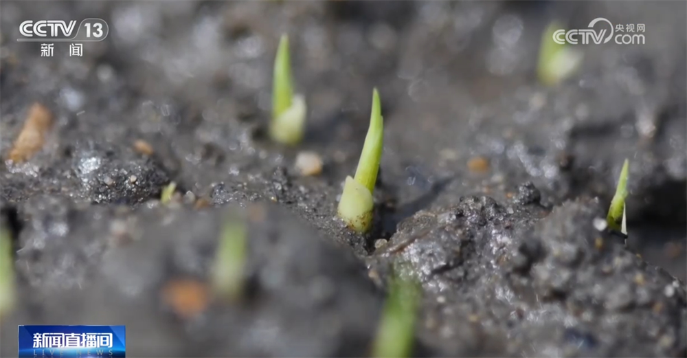 智能设备描绘出一幅幅“数字春耕图” 希望的田野迸发勃勃生机__智能设备描绘出一幅幅“数字春耕图” 希望的田野迸发勃勃生机