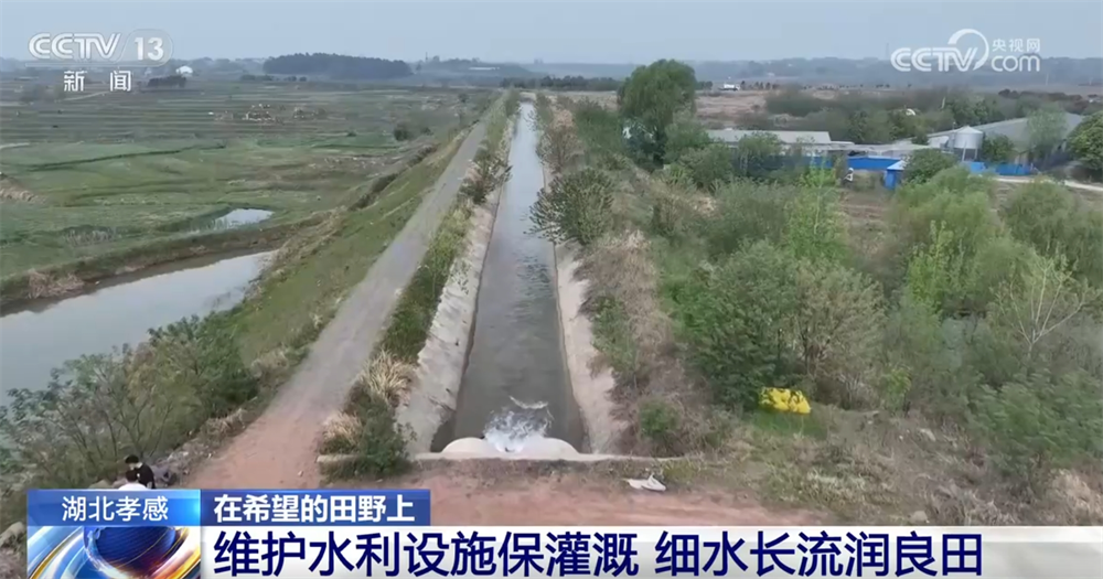 智能设备描绘出一幅幅“数字春耕图” 希望的田野迸发勃勃生机_智能设备描绘出一幅幅“数字春耕图” 希望的田野迸发勃勃生机_