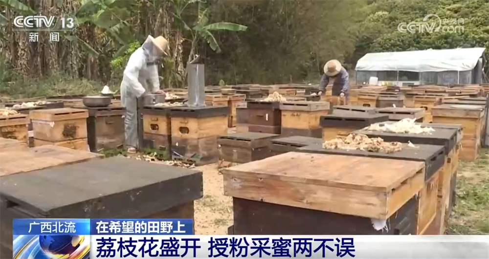 智能设备描绘出一幅幅“数字春耕图” 希望的田野迸发勃勃生机_智能设备描绘出一幅幅“数字春耕图” 希望的田野迸发勃勃生机_