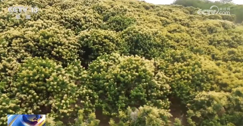 _智能设备描绘出一幅幅“数字春耕图” 希望的田野迸发勃勃生机_智能设备描绘出一幅幅“数字春耕图” 希望的田野迸发勃勃生机