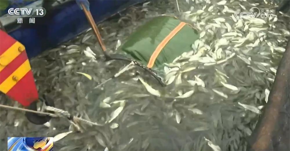 智能设备描绘出一幅幅“数字春耕图” 希望的田野迸发勃勃生机_智能设备描绘出一幅幅“数字春耕图” 希望的田野迸发勃勃生机_