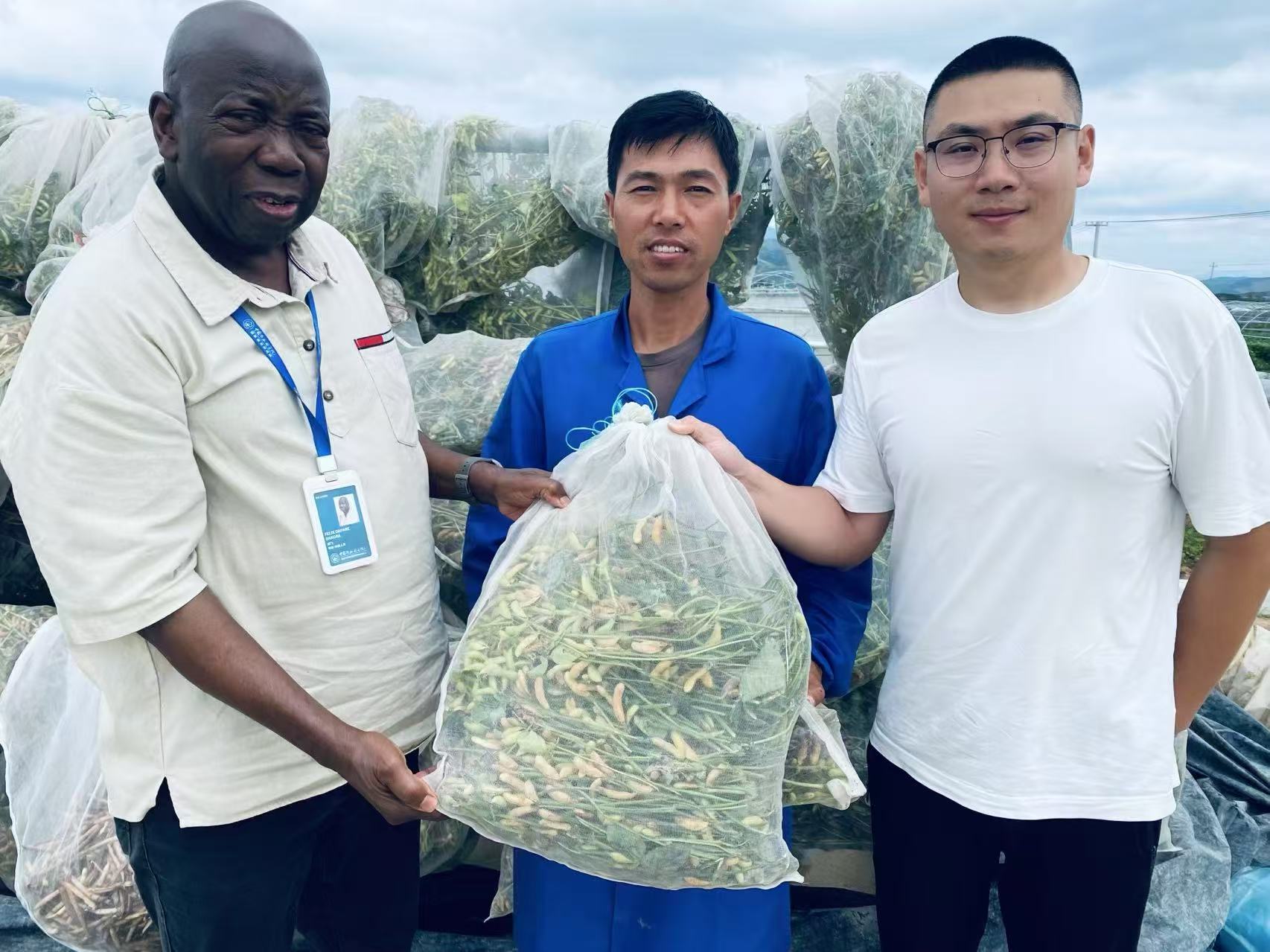 _硅谷人才_双向奔赴才是yyds