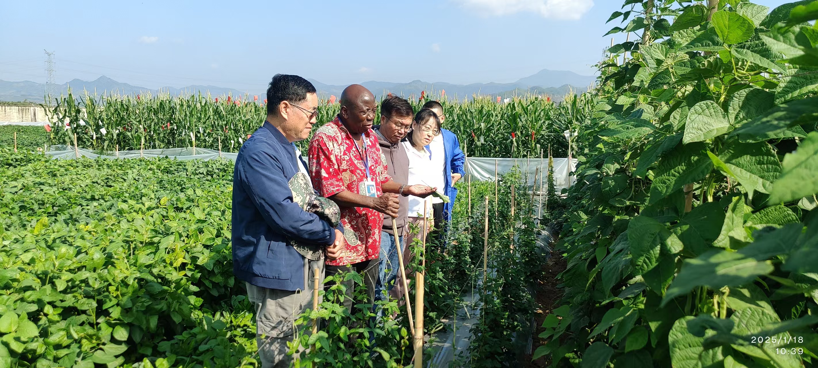 硅谷人才__双向奔赴才是yyds