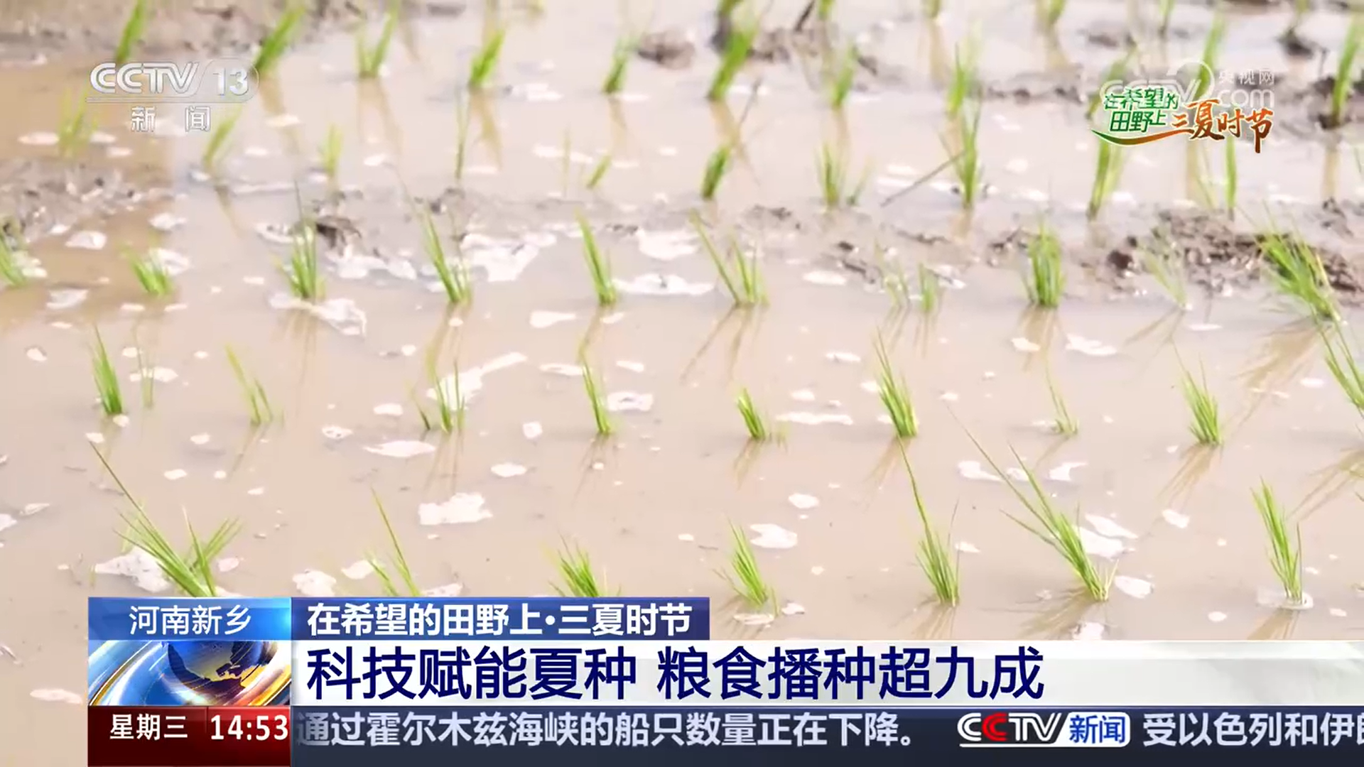 发展农机__农机三夏工作情况汇报