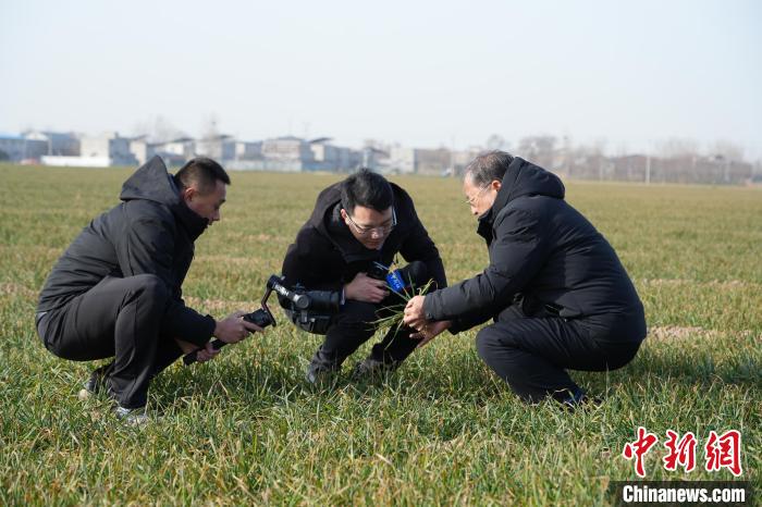 守望麦田歌词__歌曲守望麦田