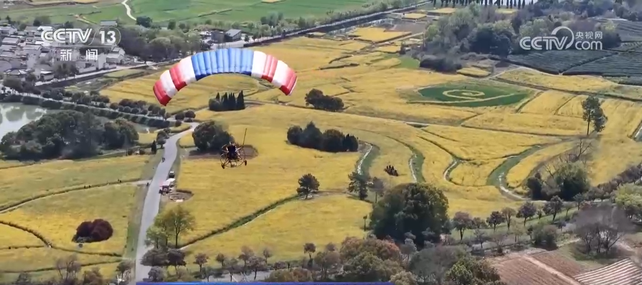 _五一开放的旅游景点_五一开放的花