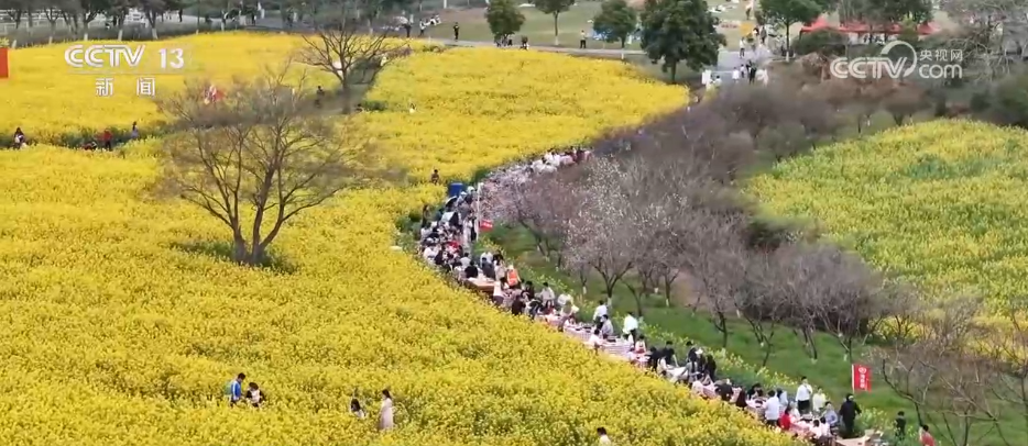 _五一开放的旅游景点_五一开放的花